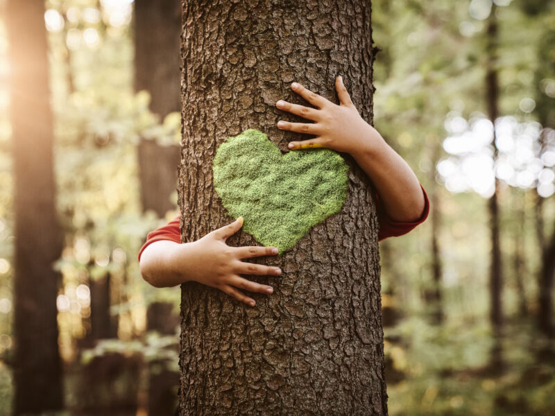 Child hugging a tree with a heart painted on it