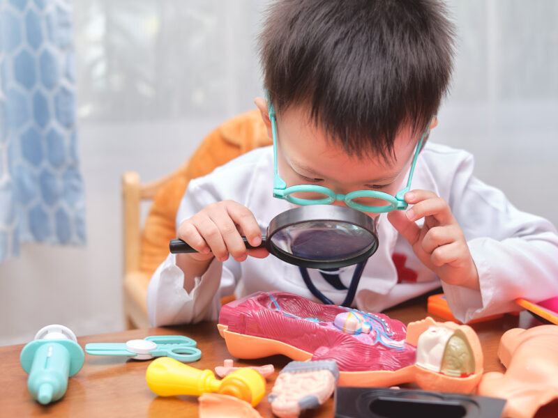 Little boy looking at model body parts with magnifying glass