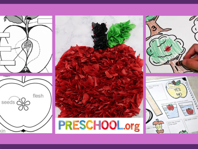 ten-apples-worksheets