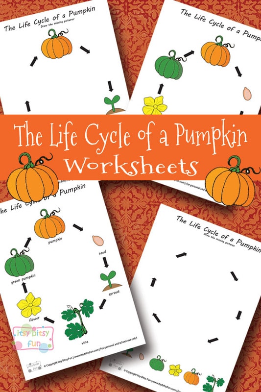 pumpkins-worksheets