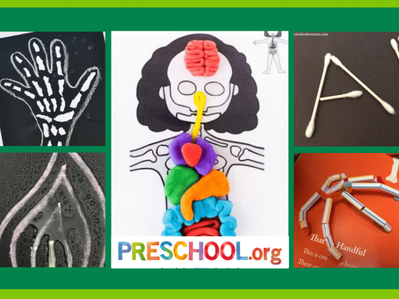 skeletons-fine-motor