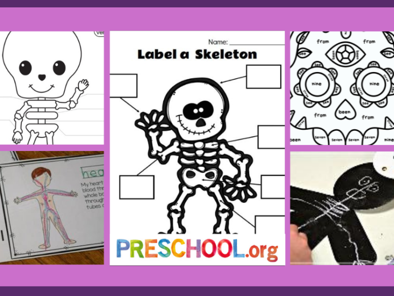 skeletons-worksheets