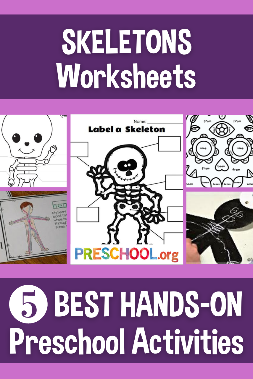 Skeletal System For Kids Worksheets Bones And Skeletal System