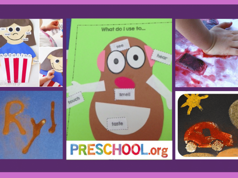 five-senses-arts-and-crafts