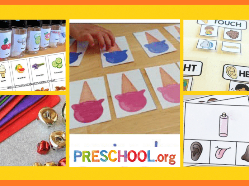 five-senses-printables