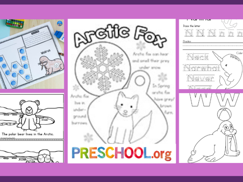 arctic-worksheets
