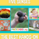 five-senses-50-best