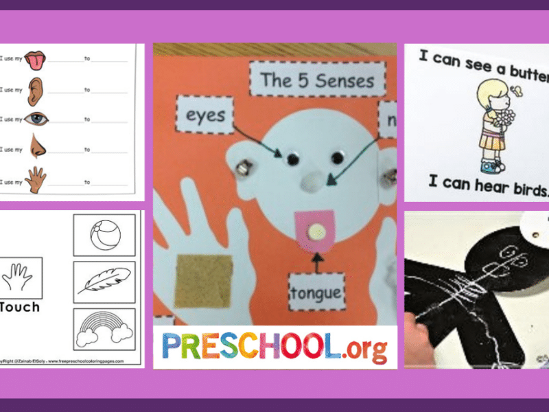 five-senses-worksheets