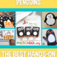 penguins-50-best
