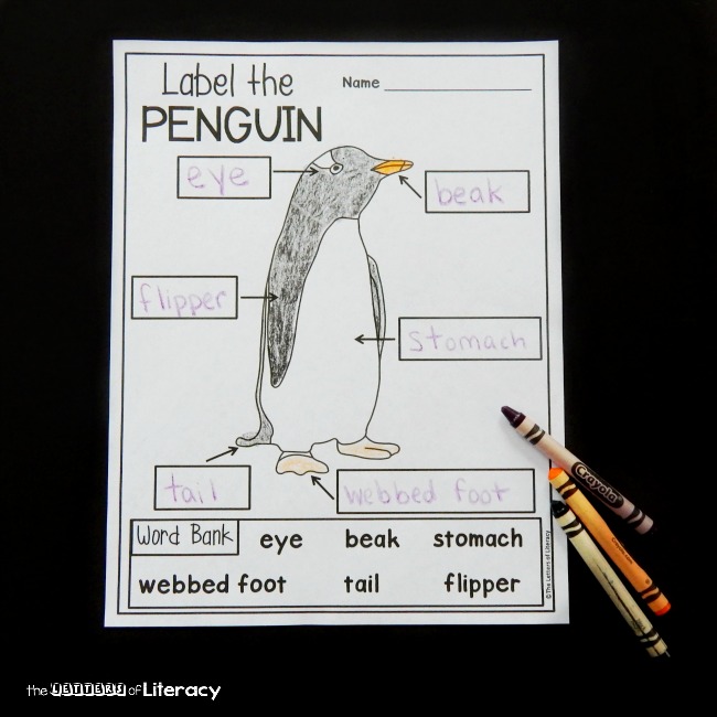 penguins-worksheets