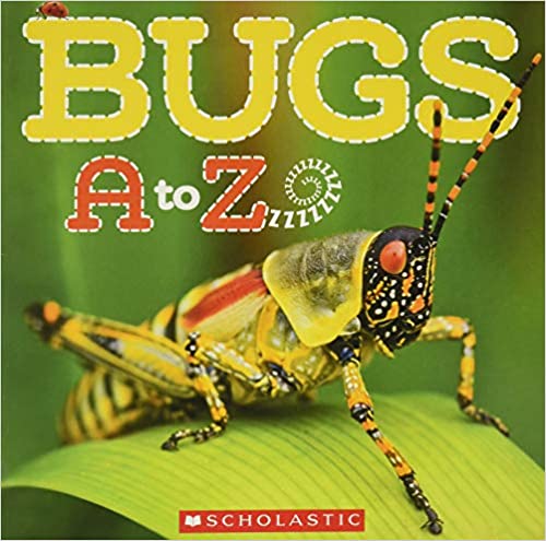 bugs-and-insects-books
