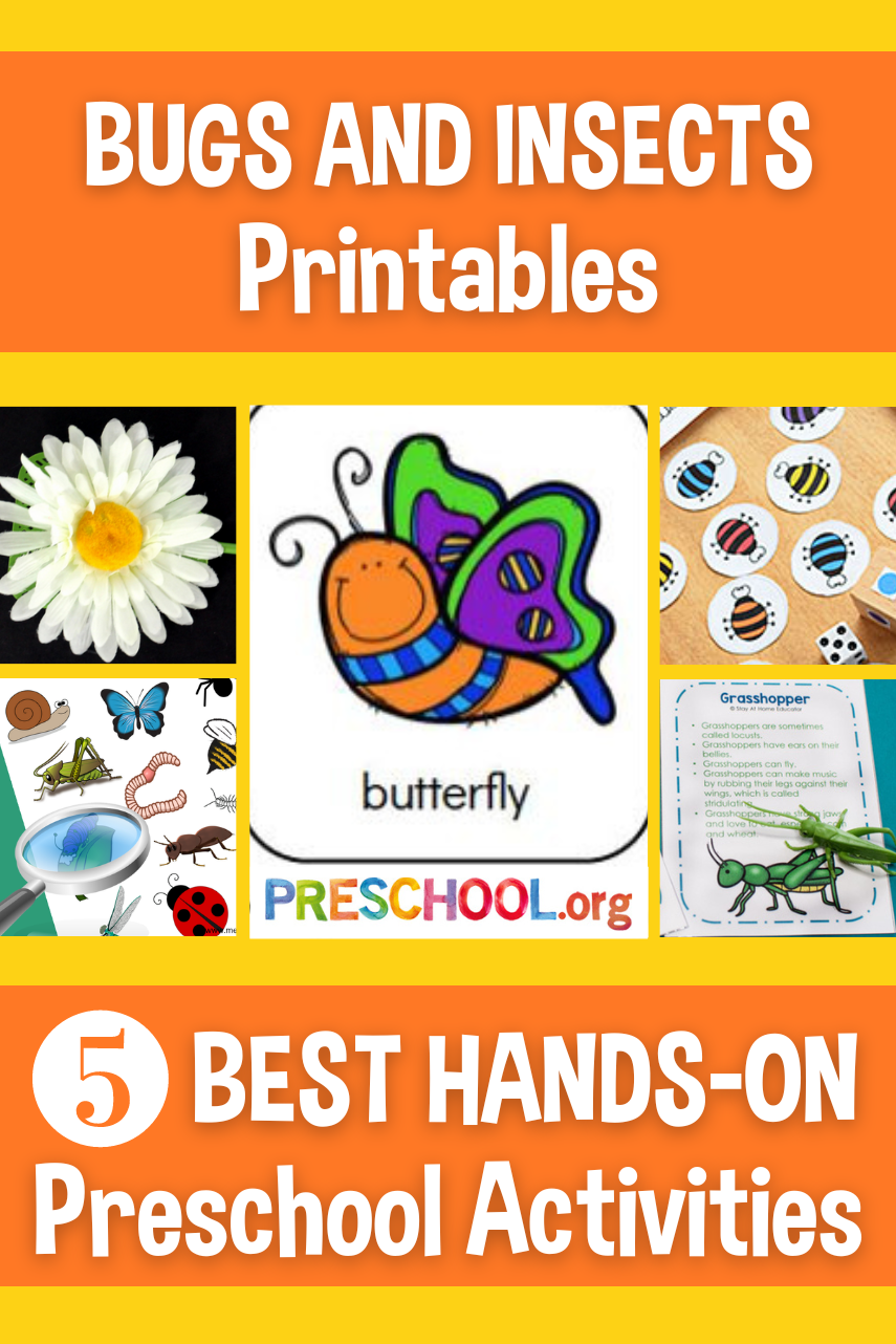 bugs-and-insects-printables