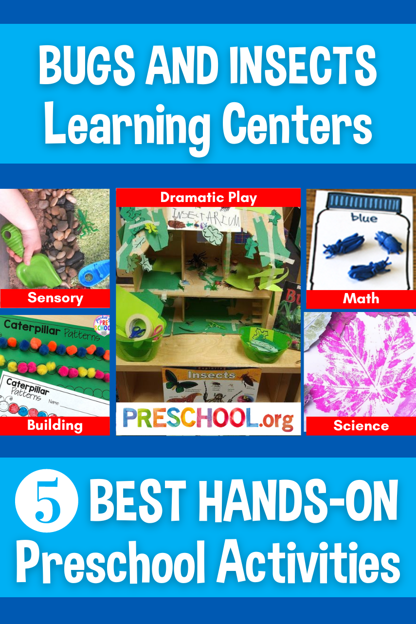 bugs-and-insects-learning-centers