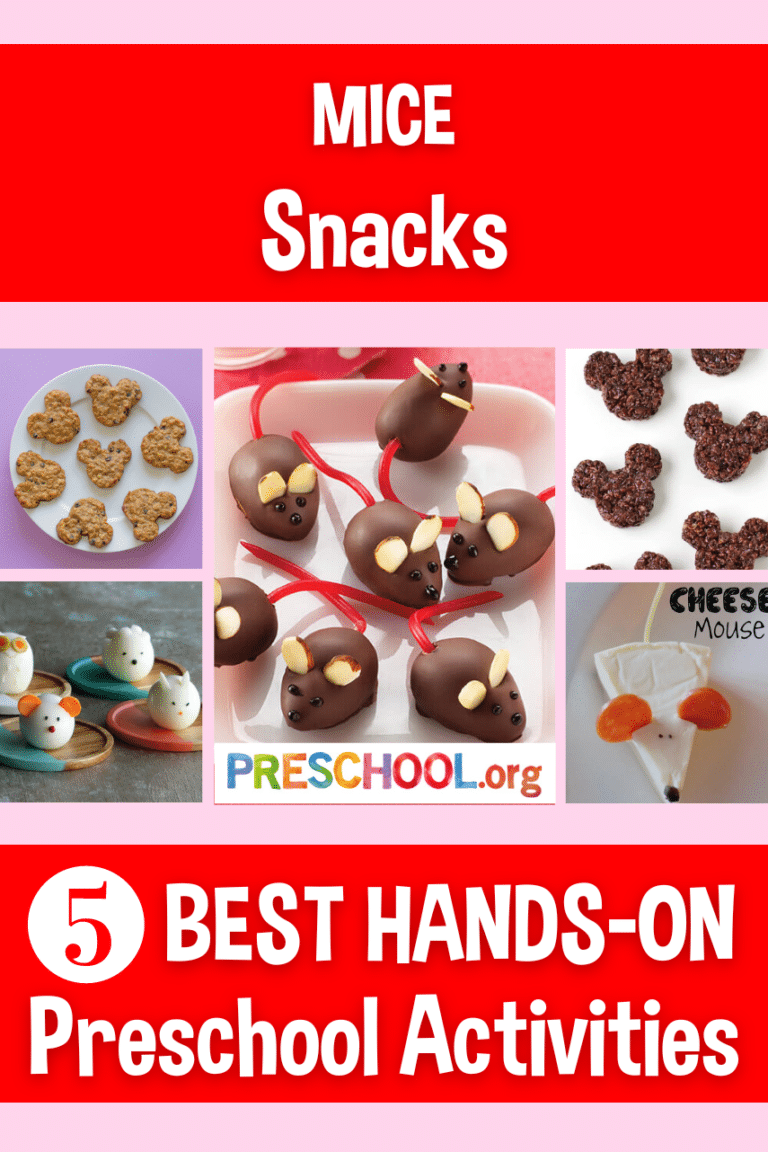 The 5 Best SNACKS for Mice Preschool Theme