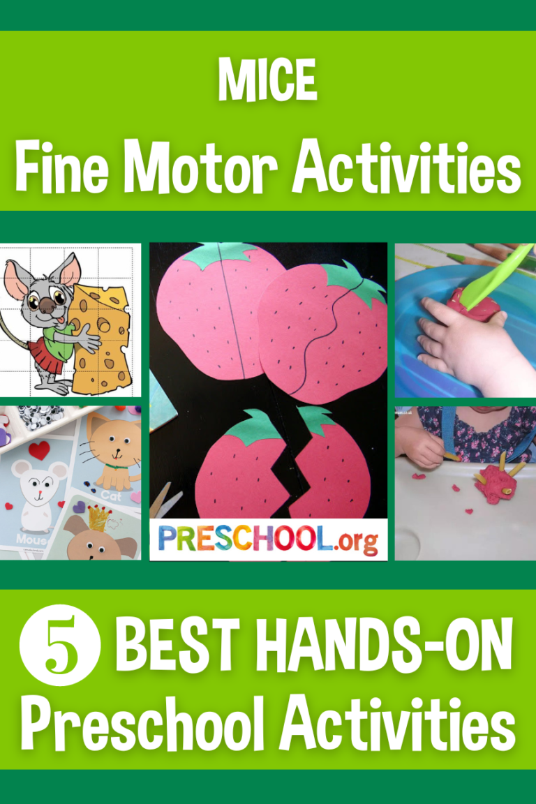 The 5 Best FINE MOTOR Activities for Mice Preschool Theme - Preschool.org